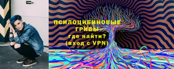 эйфоретик Гусев