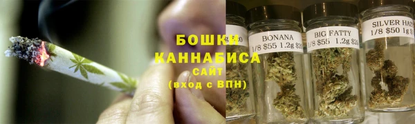 эйфоретик Гусев