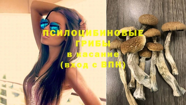 эйфоретик Гусев